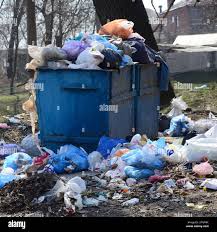 Reliable Doney Park, AZ Junk Removal Solutions